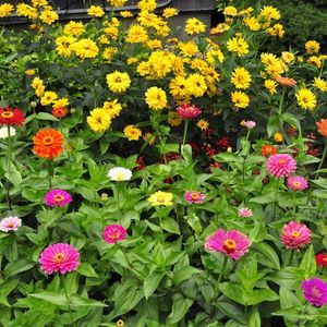 Meet your Posher, Milagros